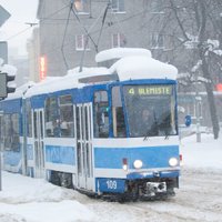Население Таллина увеличивается на 130 человек в день