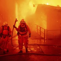 В Калифорнии бушуют лесные пожары: один город уничтожен, 50 тысяч человек эвакуированы