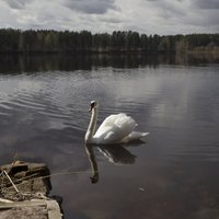 Dienā būs mākoņains laiks, vietām līs