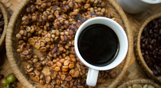 10 eiro par kafijas tasi: 'Kopi Luwak', ko atlasa un zarnu traktā nobriedina palmu kaķi