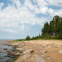 Zaļā Latvija pie dzintara jūras. Patiesība vai mīts? Stāsta jūras eksperte