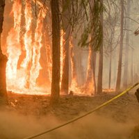'Sātana vēji' draud pastiprināt Kalifornijas ugunsgrēkus