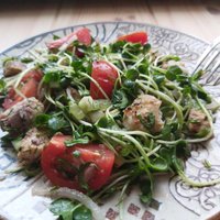 Svaigie salāti ar karsti kūpinātu zivi