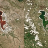 Foto: Tuvo Austrumu lielais Urmijas ezers no zaļa pārvērties sarkanā