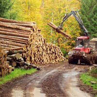 Kokrūpniecības federācija: izejmateriālu cenu kāpums kokrūpniecībā neaptver pilnīgi visus koksnes produktus