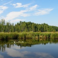 Ekoloģiski tīrākās valstis pasaulē - TOP 6