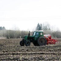 Lauksaimnieki: graudaugu sējumiem šobrīd laika apstākļi ir sevišķi labvēlīgi