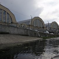 VUGD izglābj Rīgas kanālā iekritušu kungu un kāpņu telpā iemaldījušos sikspārni