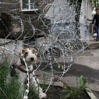 Maskava apsūdz Kijevu noziegumos pret Luhanskas iedzīvotājiem