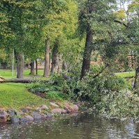 Объявлено желтое предупреждение: из-за урагана рижан просят не посещать парки