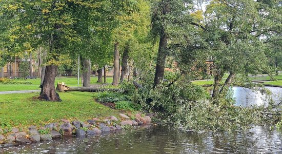 Объявлено желтое предупреждение: из-за урагана рижан просят не посещать парки