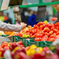 Aizdomas par inficētiem tomātiem veikalu plauktos; PVD mierina – tos var ēst