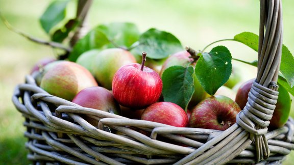 āboli rudens veltes raža grozs 