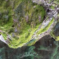 Nesen atklāts dižakmens un pastaigu taka: Filandmuižas Zilā akmens dabas taka Ludzas novadā