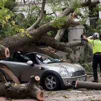 Ураган в Европе унес жизни 14 человек