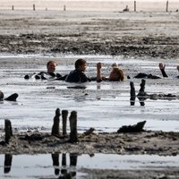 Pieci nepolitiski fakti par Azovas jūru