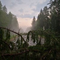 ФОТО: Буря в Даугавпилсе повалила минимум 30 деревьев