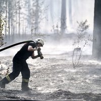 Meža ugunsgrēkā Garkalnē izdegusi teritorija 21 hektāra platībā