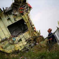 Следователи по делу о катастрофе MH17: есть свидетель запуска ракеты "Бук", которой сбили Boeing