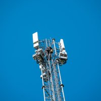 Причем тут слоны? В Tele2 рассказали о потреблении мобильных данных в сети 5G