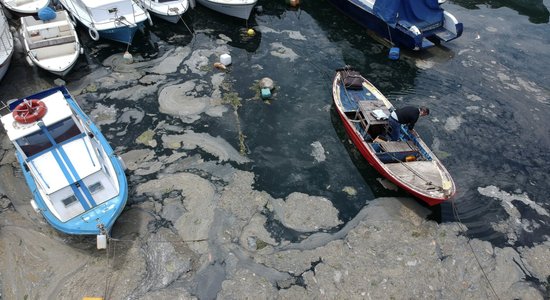 Турция: морская слизь покрыла берега Мраморного моря и угрожает Черному