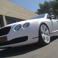 Латвийская компания Dartz покрыла Bentley змеиной кожей