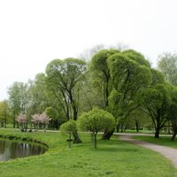 Lietuviešu uzņēmums ieguvis tiesības Uzvaras parkā būvēt panorāmas ratu