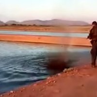 Video: Meksikāņu policists ar triecienšauteni likvidē krokodilu; kolēģis palīdz piebeigt ar pistoli