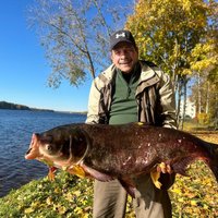 Daugavā pie Ogres noķerta Latvijas rekordzivs – 22,9 kg smagais raibais platpieris 