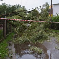 "Убытки выросли в десять раз":  ущерб от погоды в Латвии становится всё больше