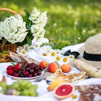 Mazie svētki – pikniks. Kā to padarīt baudāmu kā vēderam, tā acīm?