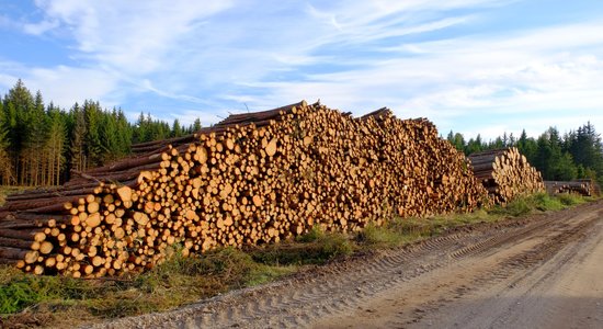 Деревообработчиков в ТОП101 все больше. Все держится на древесине?