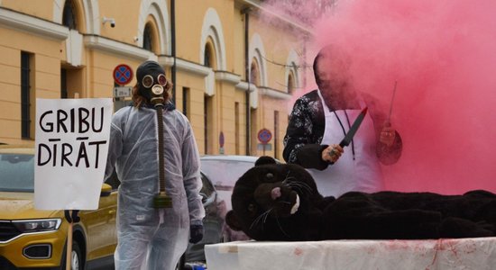 Фото: Dzīvnieku brīvība призывает Сейм поддержать запрет на выращивание пушных животных