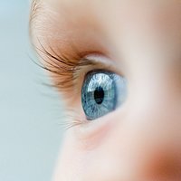 Dominantā un recesīvā gēna nozīme – kādā krāsā bērnam būs acis?
