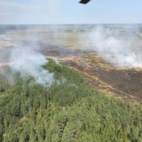 Пожар на болоте в Раматской волости локализован, но не потушен