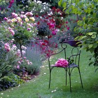 Krāšņā romantika: 20 ieteikumi brīnišķīgam rožu dārzam