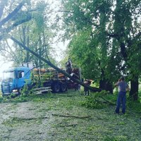 Negaisa laikā Rīgā cilvēkam uzkritis koks