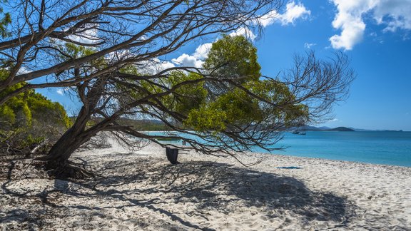 Kvinslenda, Whiteheven Beach, Austrālija, pludmale, brīvdienas