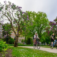 Jaunākā prognoze – nākamnedēļ saglabāsies siltums, bet reizēm uzlīs