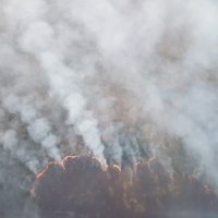 Foto: Ramatas pagastā lielā platībā deg purvs; lūdz Igaunijas palīdzību