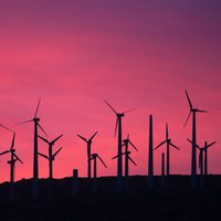 Шведы за 250 млн евро построят крупнейший в Латвии парк ветрогенераторов