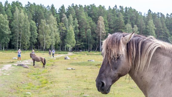 Foto: Nataly Hlapkovska