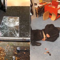 Голландия: гражданин Латвии выбил стекло и проник в школу