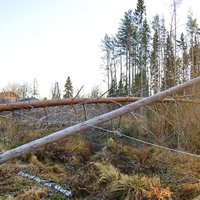 AS 'Sadales tīkls' gatavojas rudens/ziemas sezonai