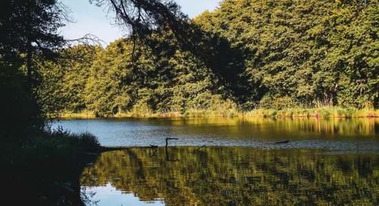 Foto: Dabas parka 'Piejūra' vilinājums – unikālie Garezeri