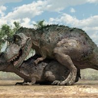 Zinātnieki noskaidrojuši, kā pārojās dinozauri
