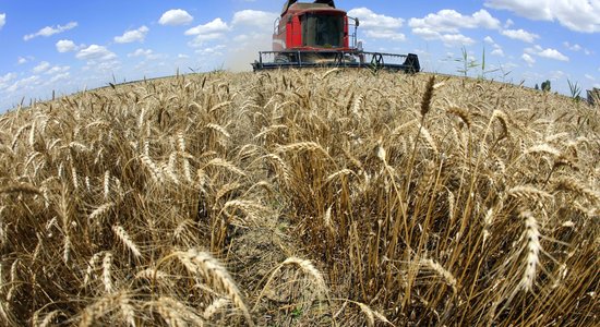 Politico: Франция поддержала призывы Польши к ограничению экспорта сельхозпродуктов из Украины в ЕС