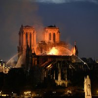 Пожар в соборе Парижской Богоматери: на восстановление Нотр-Дама выделят миллионы евро