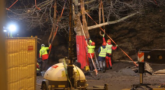 Foto: Izrok un pārvieto Rīgas autoostas sarkano ozolu