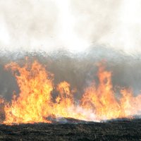 Liesmās Koknesē viens bojāgājušais; brīvdienās dzēsti 68 kūlas ugunsgrēki